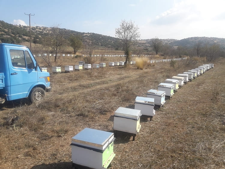 ΜΕΛΙΣΣΟΚΟΜΙΚΑ ΠΡΟΪΟΝΤΑ ΔΕΚΑΣΤΗ ΓΡΕΒΕΝΩΝ | ΔΟΒΑΣ ΝΙΚΟΛΑΟΣ